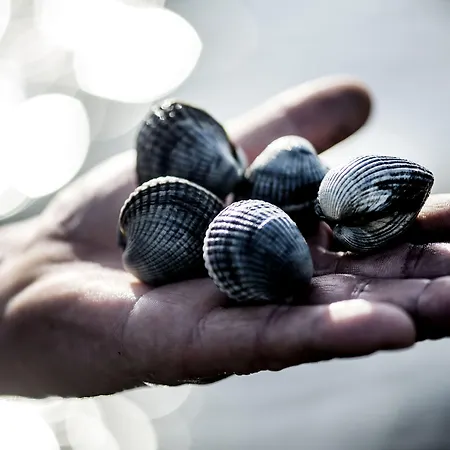 Christiansminde Hotel Svendborg