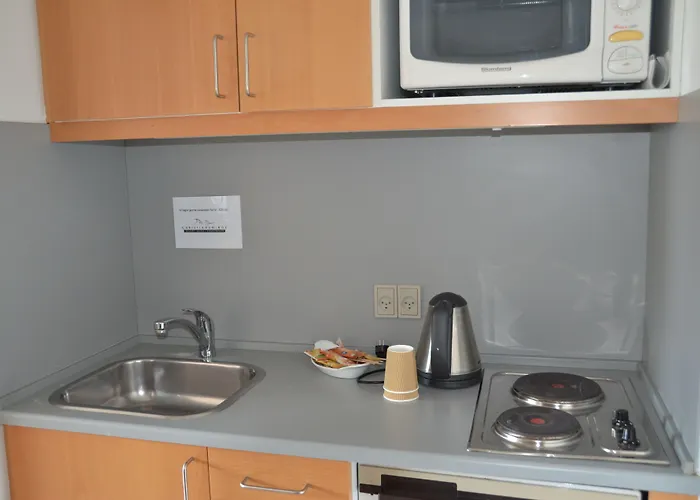 Christiansminde 4* スベンボー