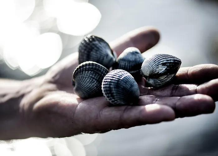 Christiansminde 酒店 斯文堡